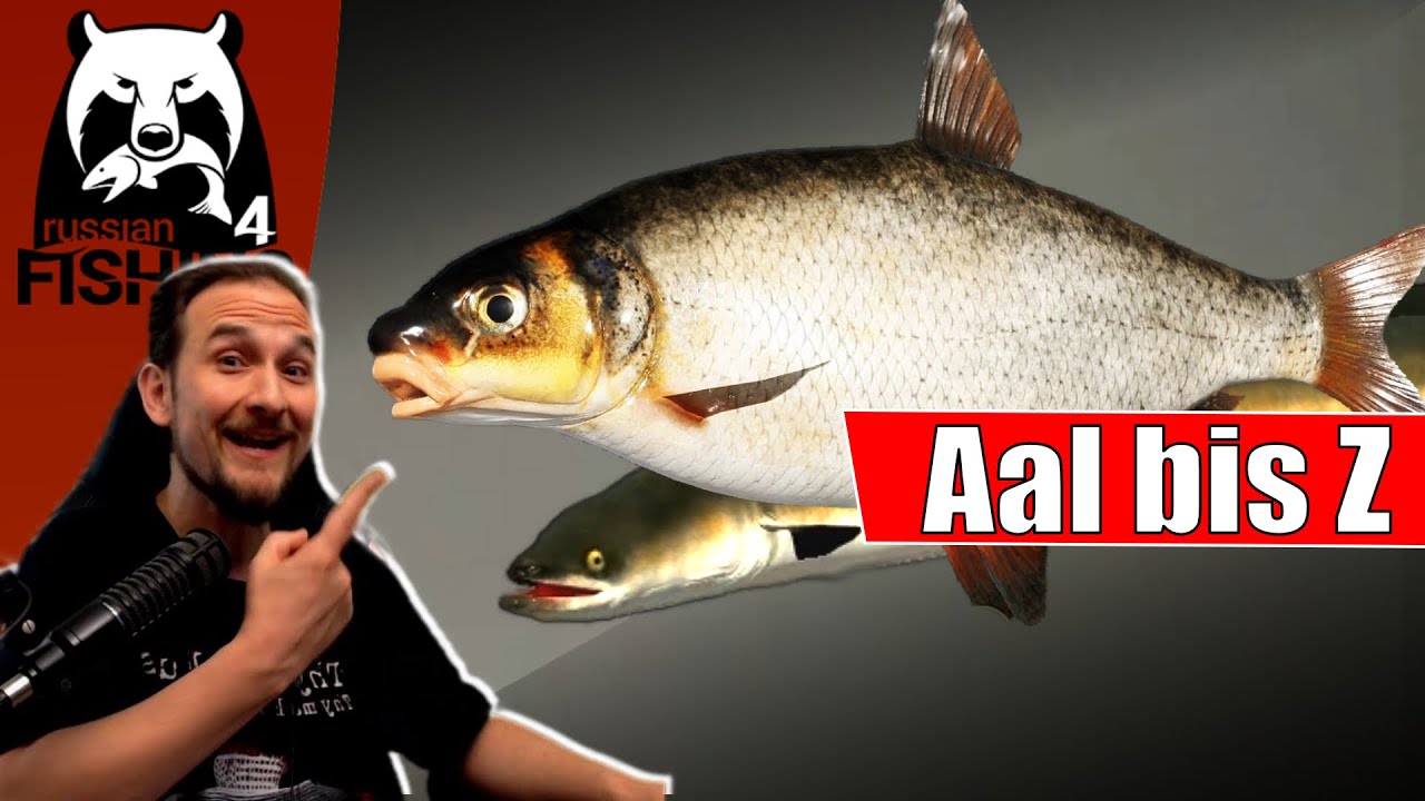 Russian Fishing 4   Wolchow   Aal bis Zährte