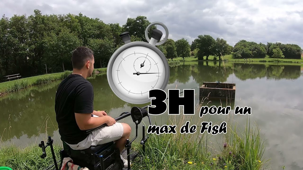 3H pour UN MAX DE FISHS ! Carpe au coup