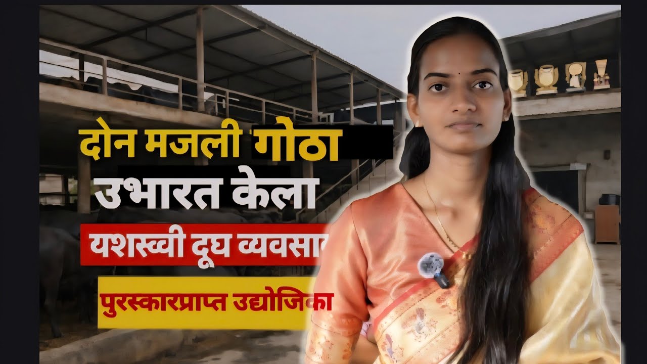 Student ते Dairy Entrepreneur | दोन मजली म्हैस डेअरी यशोगाथा #agroentertainment