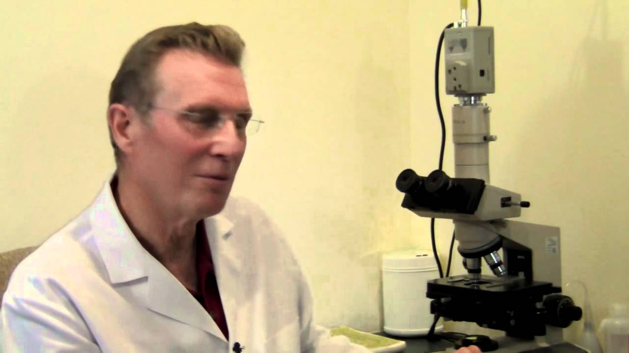 Holistic Dentist Answers: Can Gum Disease be Cured without Surgery?