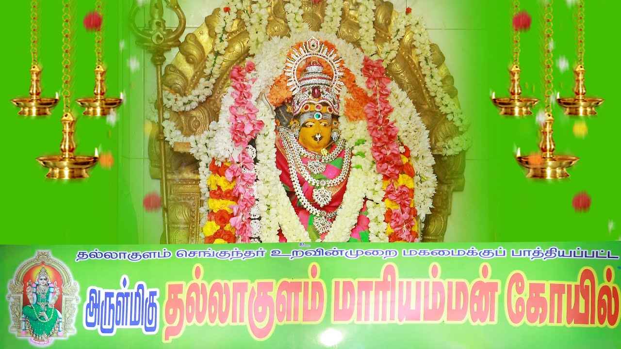 நாட்டாண்மை முளைப்பாரி ( 14.09.2019 )