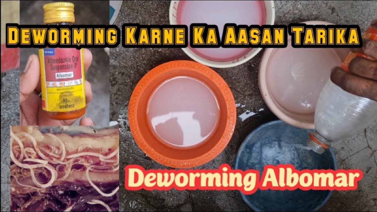 Deworming Karne Ka Aasan Tarika