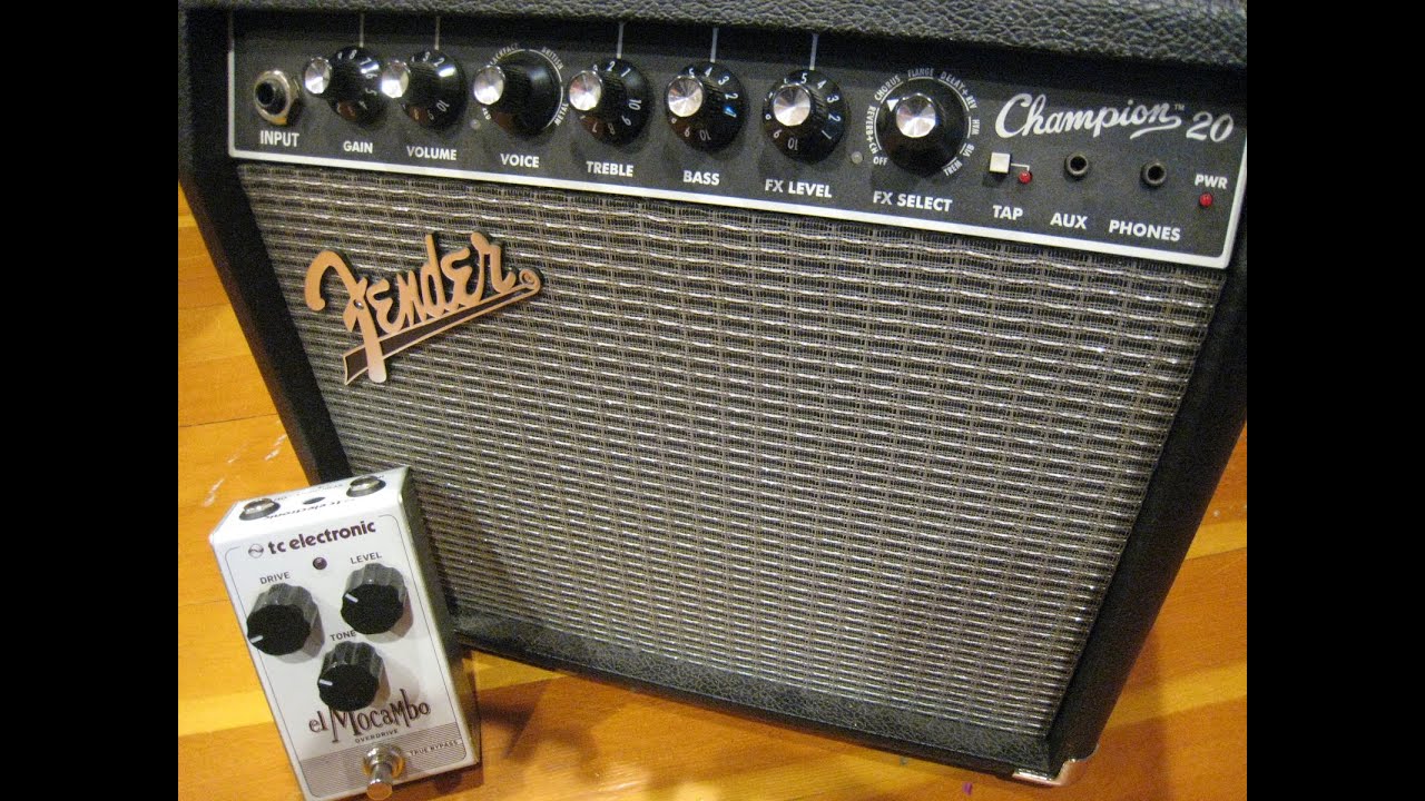 Fender Champion 20 Blackface Tones + Tips For Beginners : Twin Reverb/Deluxe Reverb/Princeton Reverb