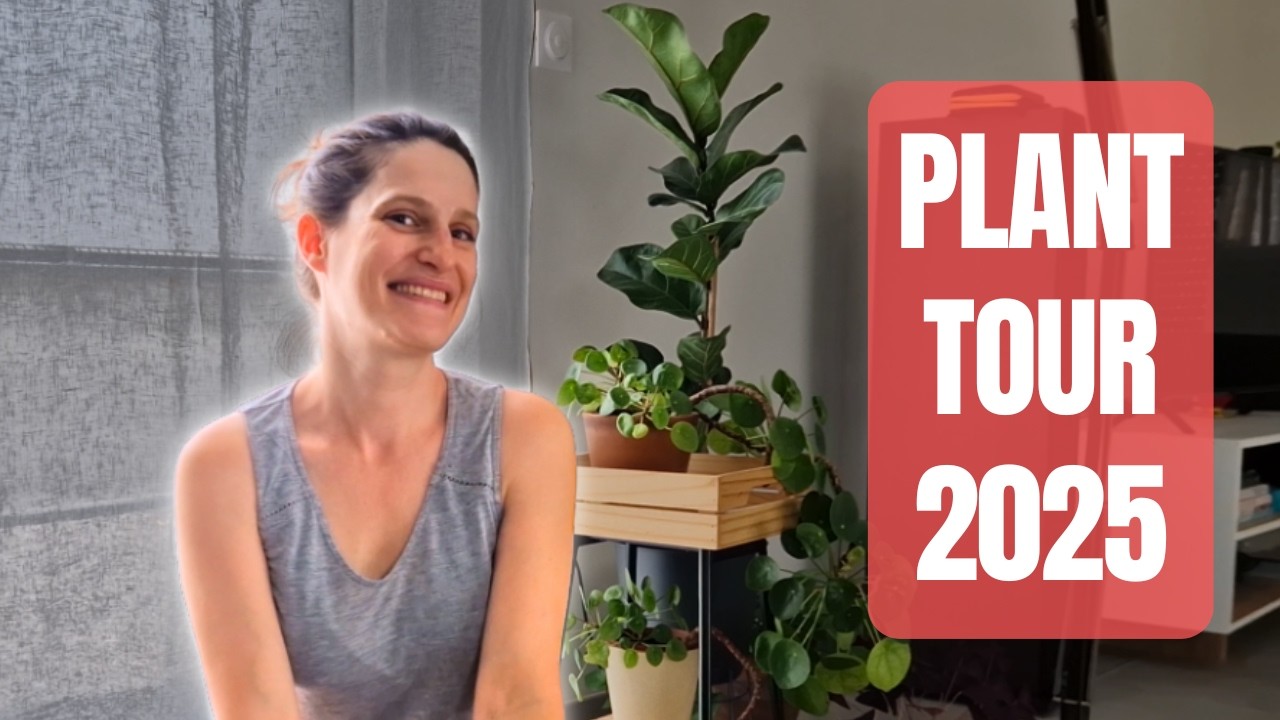 Je montre toutes mes plantes, intérieur et extérieur (on a déménagé en 2024)