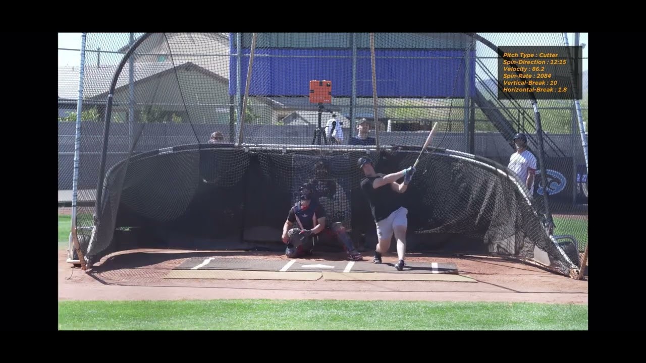 Tanner Shears Live AB’s 2026 