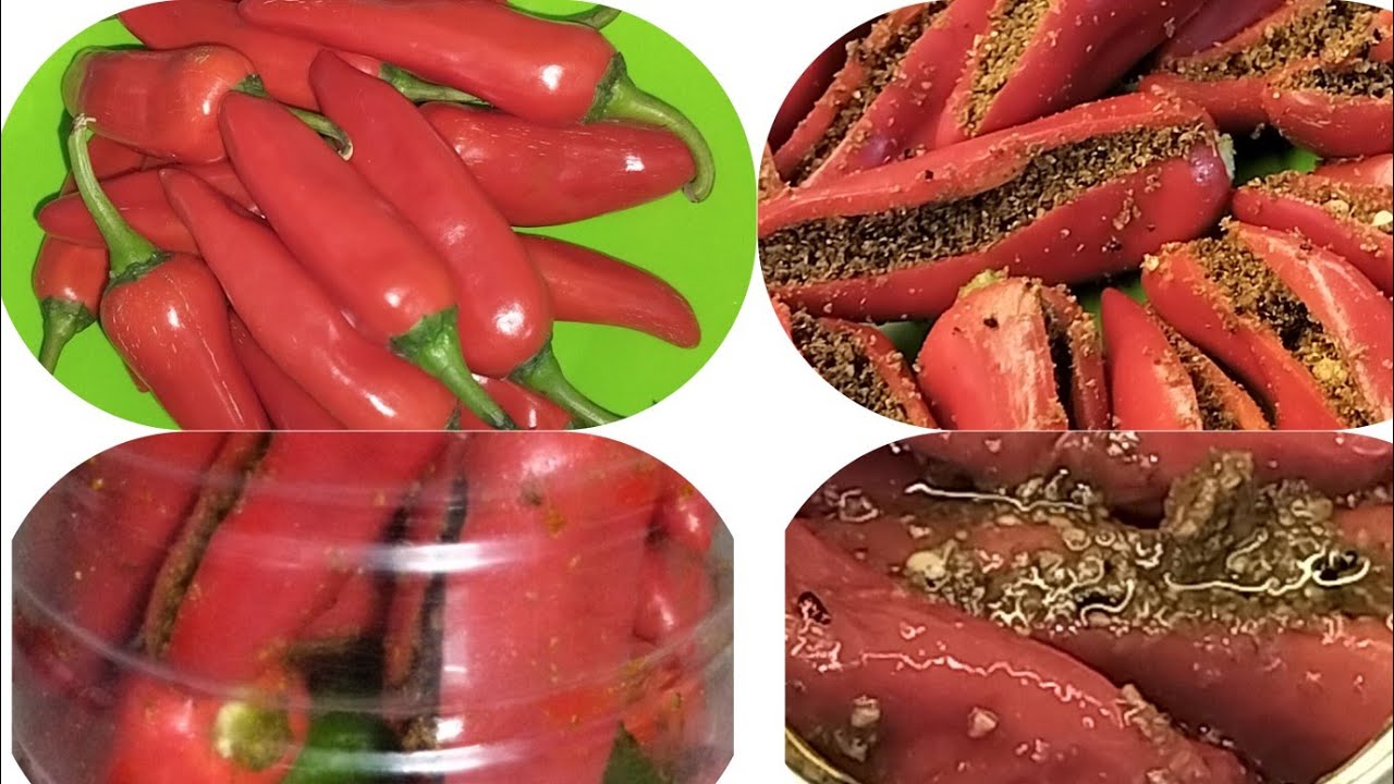 🙏 mirchi ka Achar banana, कम तेल मेंमिर्ची का #आचार ,सुनीता #Sunita Gupta 5167