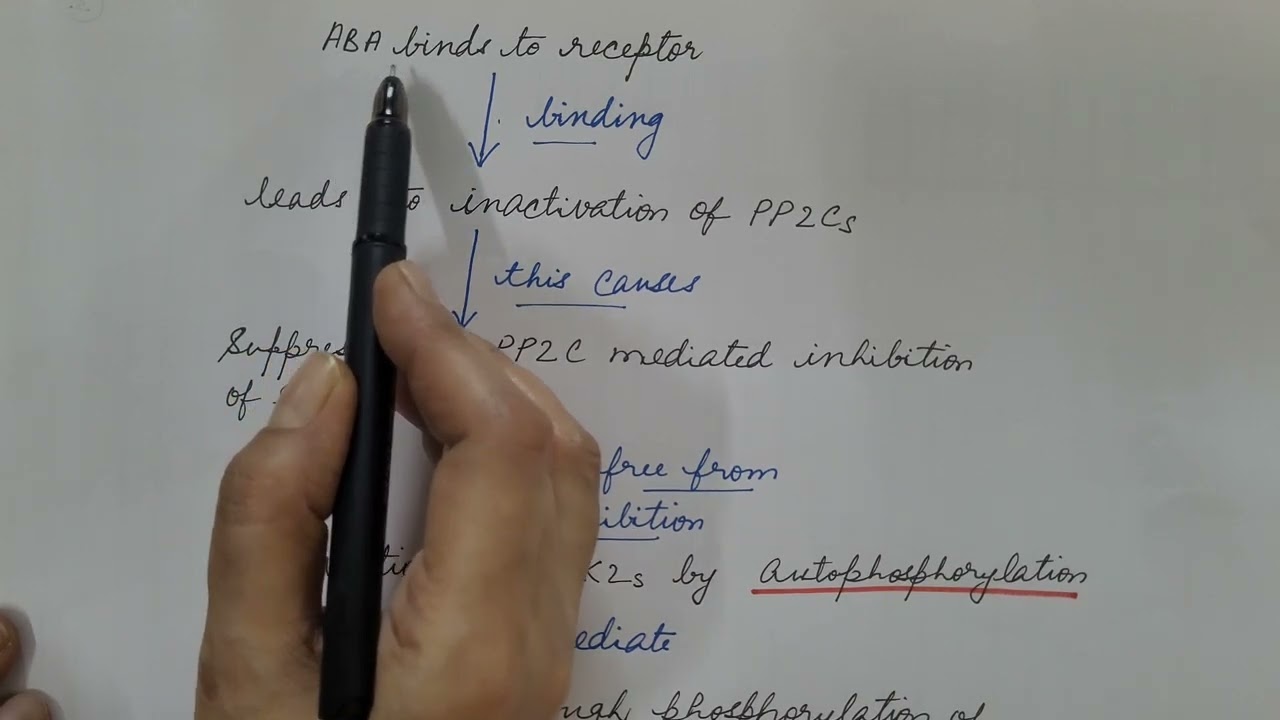 Abscisic Acid Signaling Pathway. Plant Physiology.