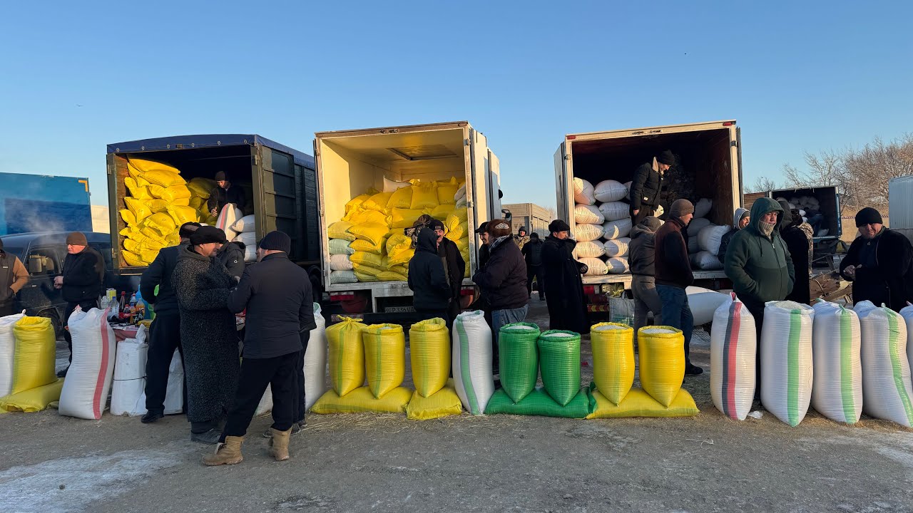 ХОРАЗМ ХАЗАРАСП ОПТОМ ГУРУЧ ЯНГИ НАРХЛАРИ 7 февраля 2026 г.