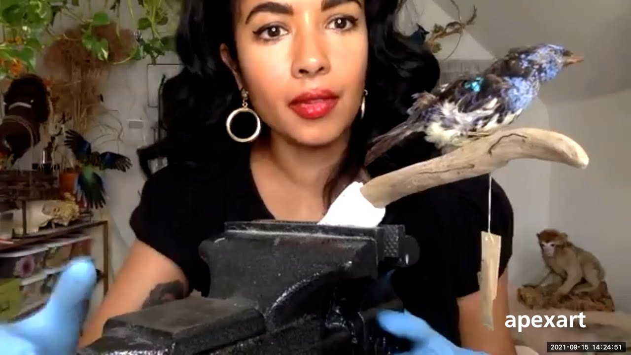 Taxidermy Demonstration with Divya Anantharaman