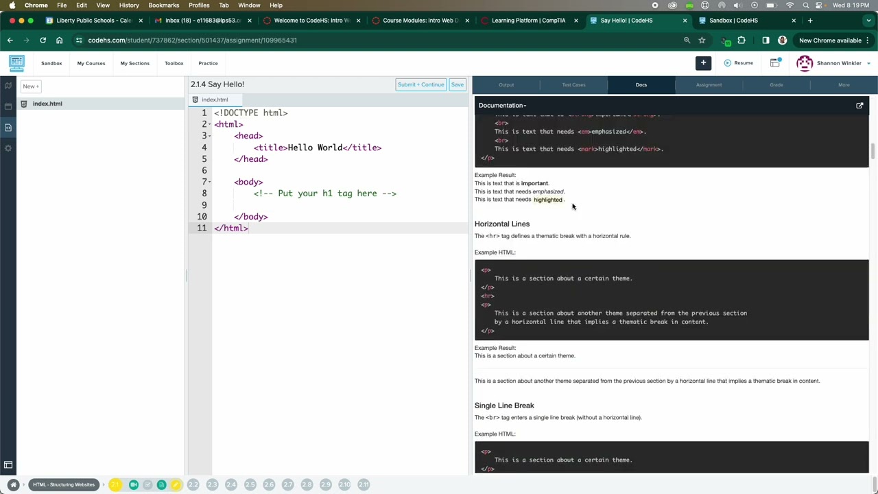 LV Web Canvas and CodeHS Walkthrough