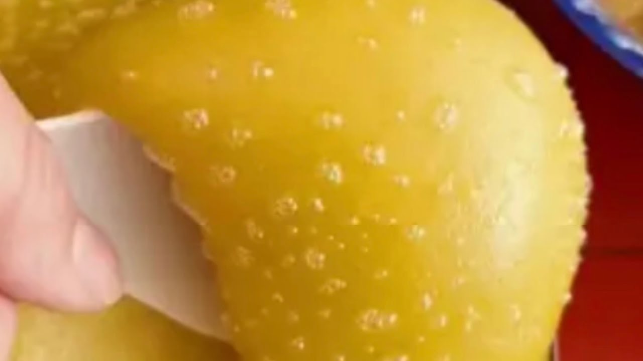 ￥2500一顆的黑刺榴槤怎麼吃才不心疼？5種榴槤甜品做法食譜！【麟宣森】