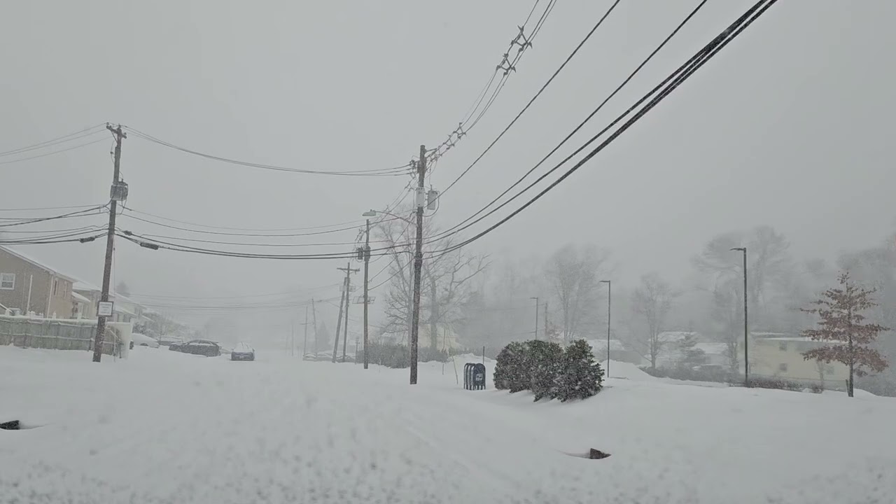 Snowbound January