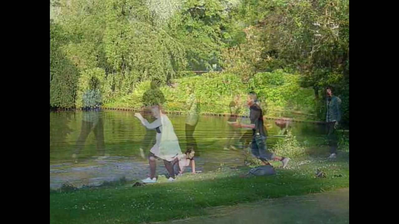 Oldenburg - WM 2010, -Schlossgarten Weltmeisterlicher Badespass nach Englandniederlage im Ententeich