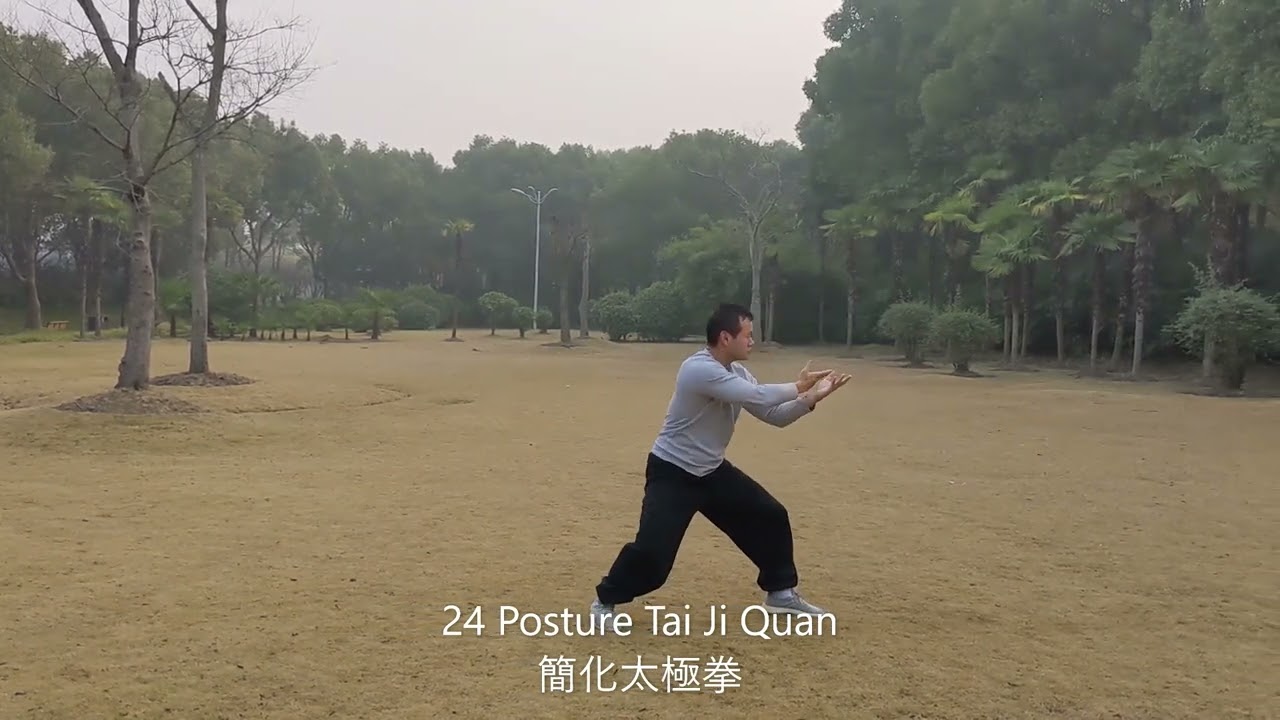 Shanghai Gongfu Montage (Century Park)