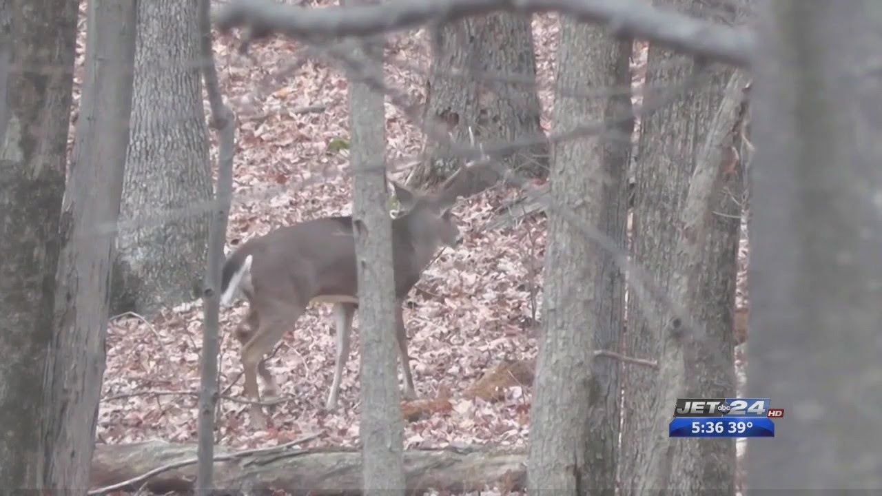 Chronic Wasting Disease