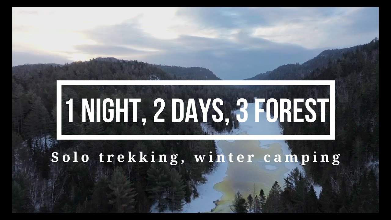 Solo Trekking - Winter Camping - Landscape, forest and wildlife birds photography.