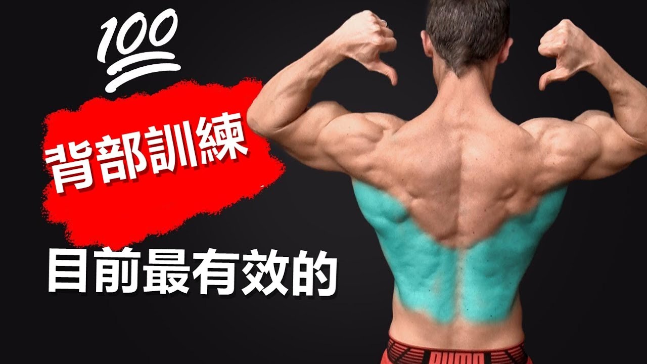 100次背部訓練計劃 目前最有效的背部訓練計劃|100次背部训练计划 目前最有效的背部训练 如何练背，背部该如何训练