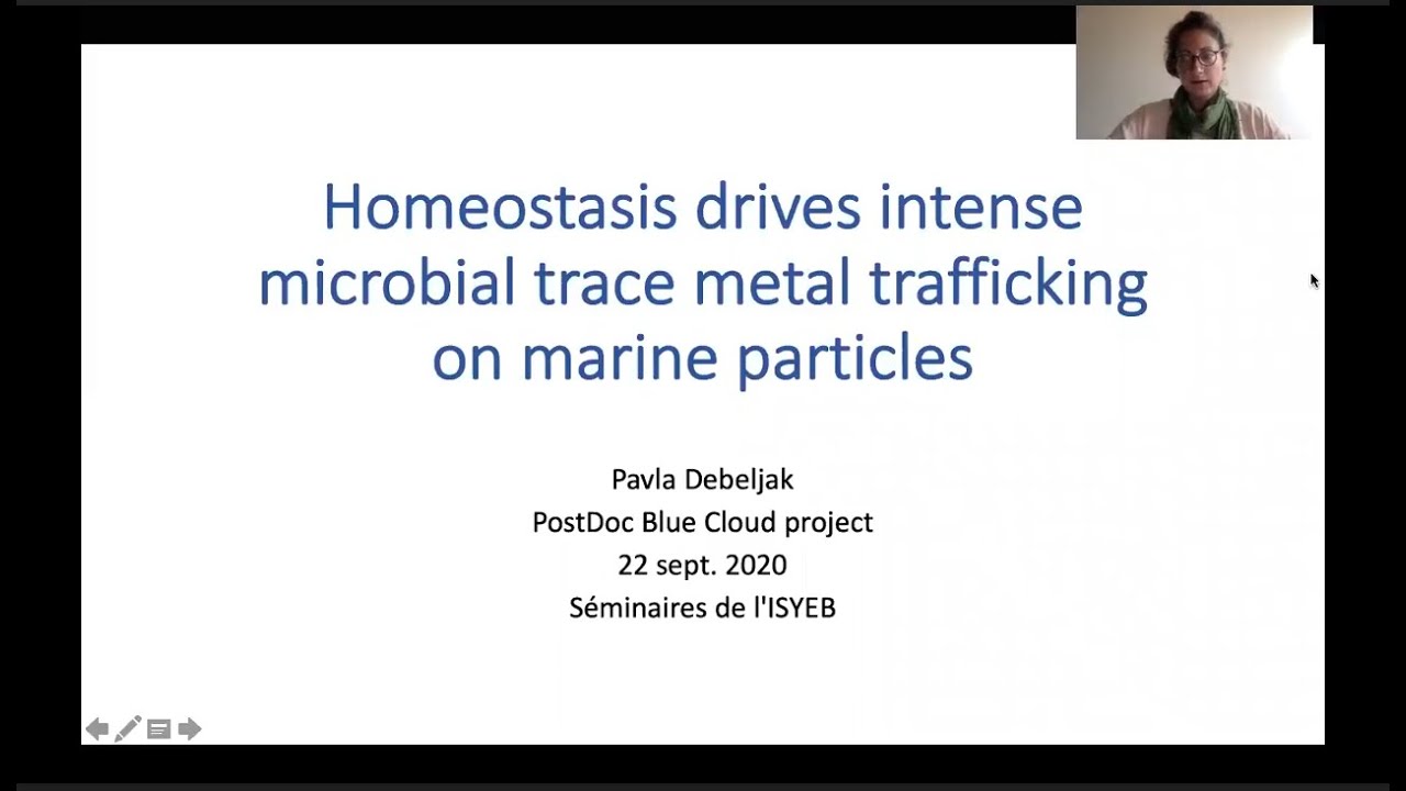 Homeostasis drives ...Pavla Debeljak