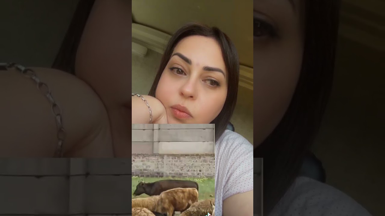Օլուխ պատրաստվի, ապրանք ա գալիս