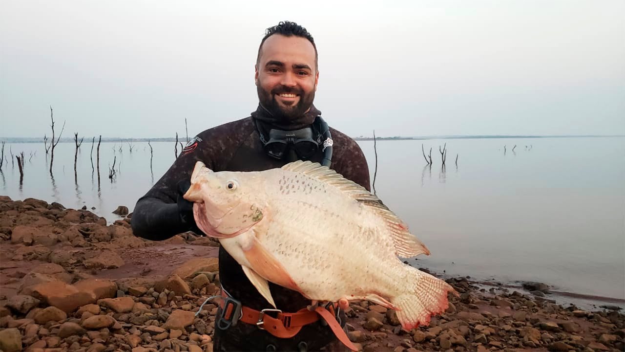 Pesca Sub - Veja só o que rolou nesta pescaria