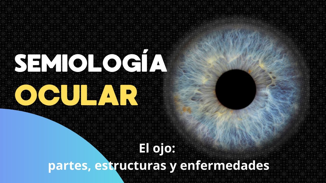 Semiolog&iacute;a Ocular Partes del Ojo