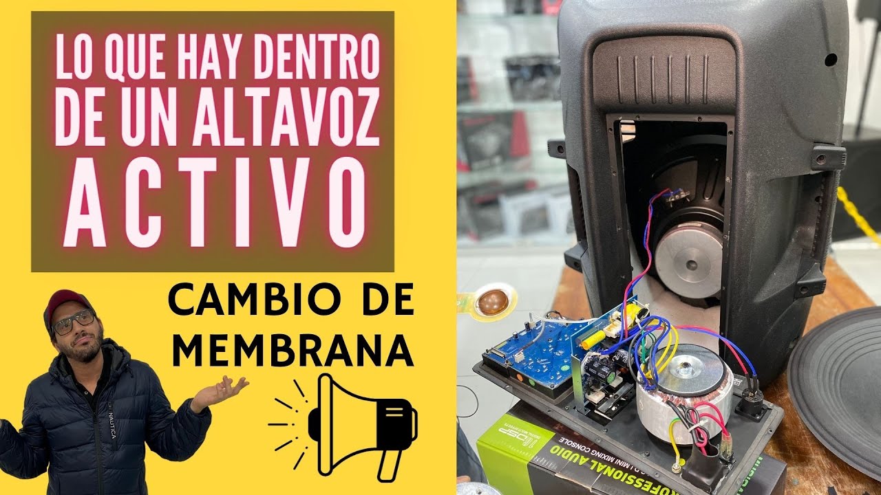CABINAS ACTIVAS  Y SUS COMPONENTES INTERNOS - COMO CAMBIAR  MEMBRANA DE DRIVER