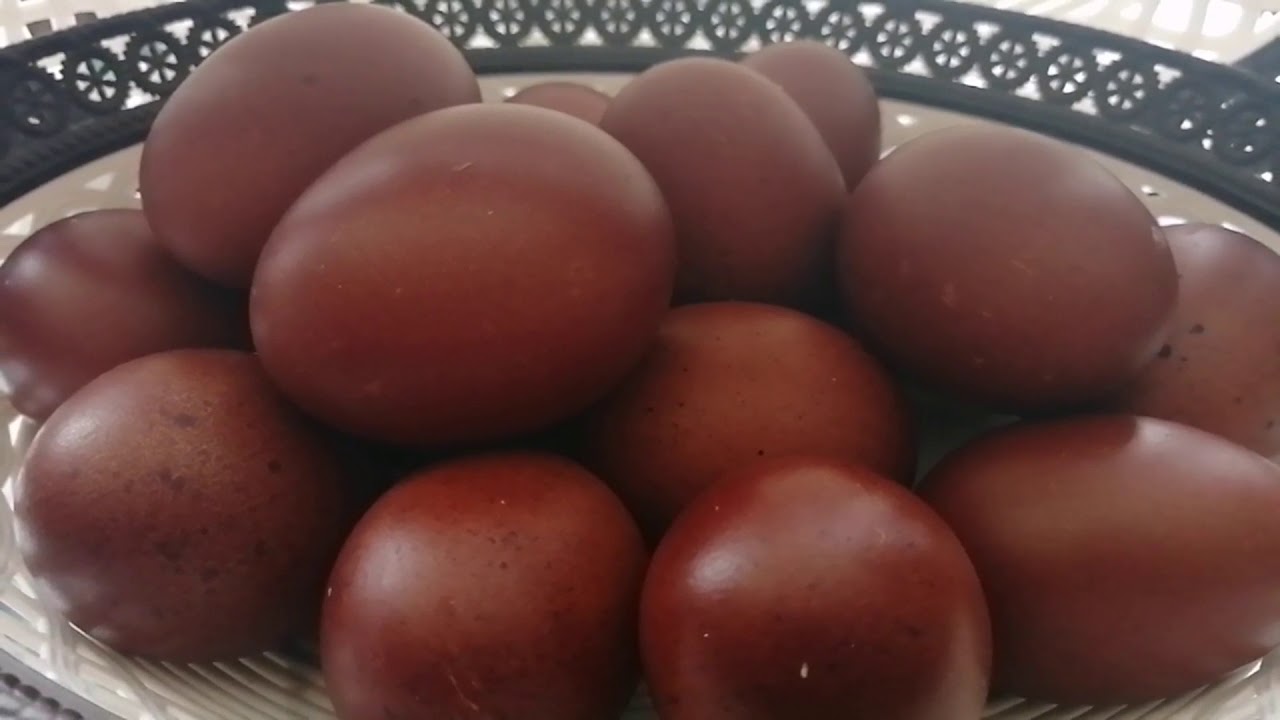 Куры Мараны.Лучшая порода мясо-ячных кур)