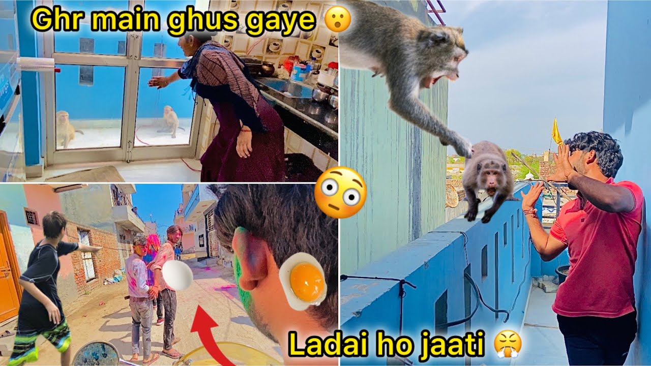 Ghr me ghus gayi monkey gang 😮 ( Holi per egg 🍳 fek k maara mujhe 😤