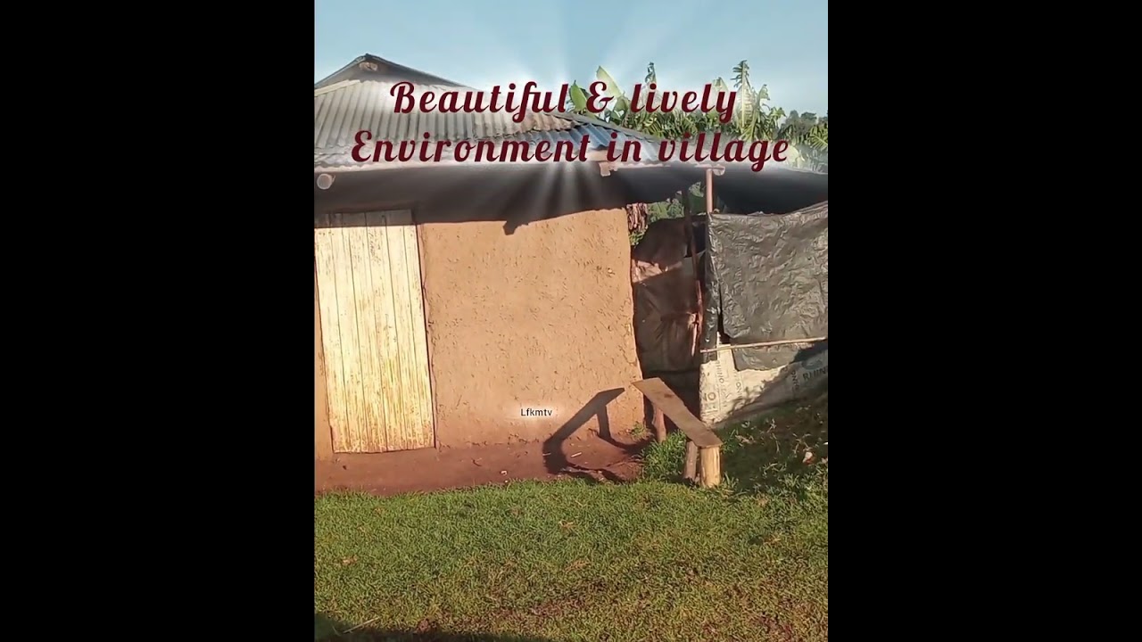 Beautiful nature in the village.