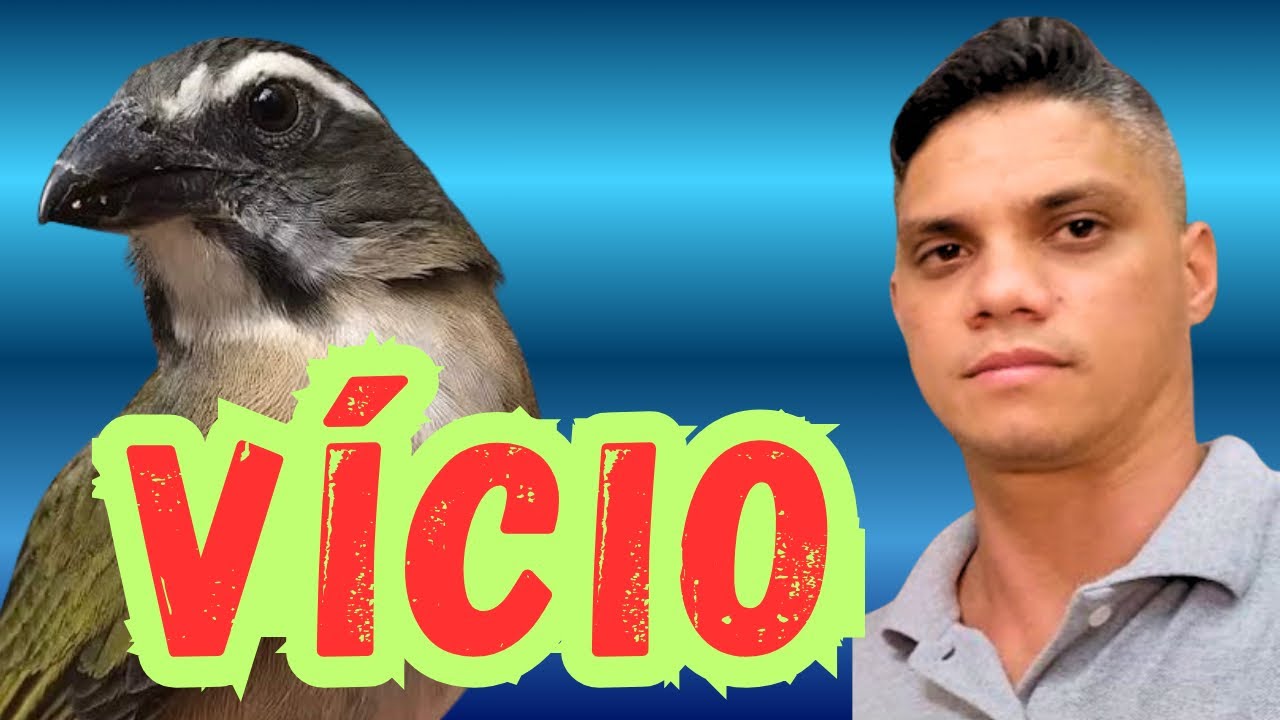 COMO CRIAR TRINCA FERRO cuidado com o vício 