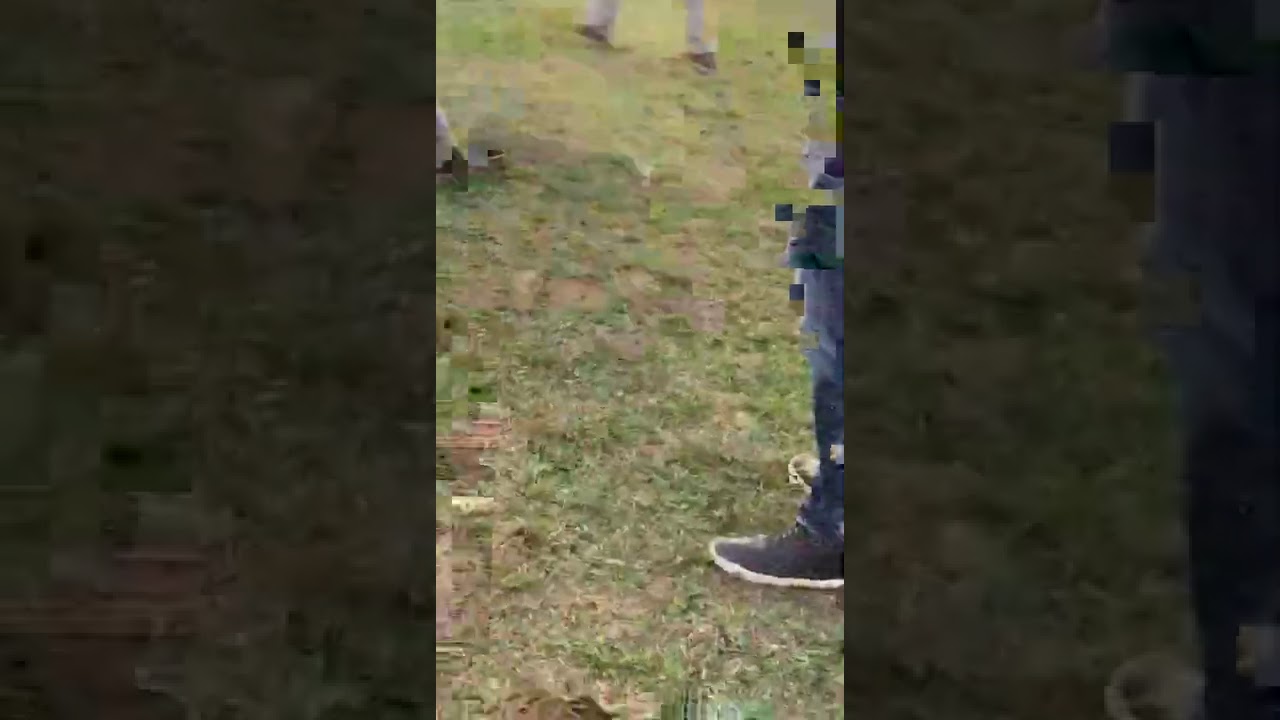 Accidente fatal de avi&oacute;n experimental Sonex