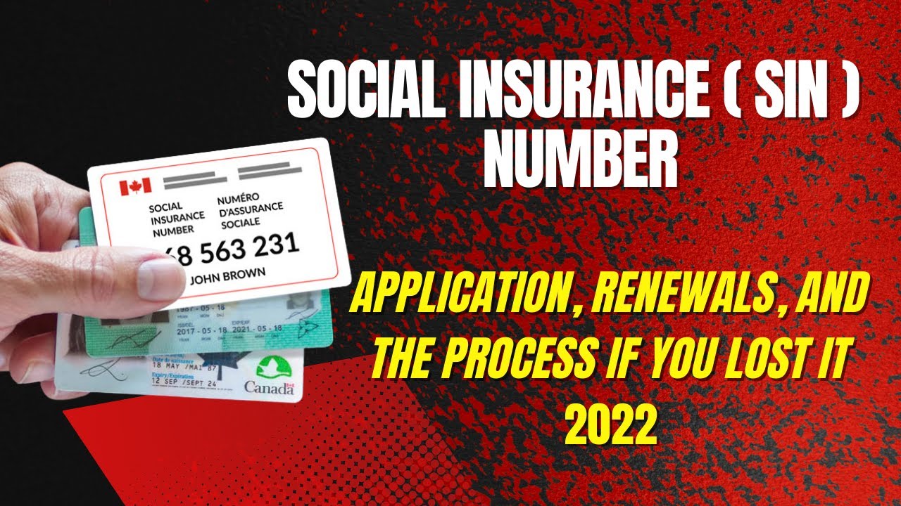 SIN Number - Application, Renewals, and the Process if You Lost It 2022