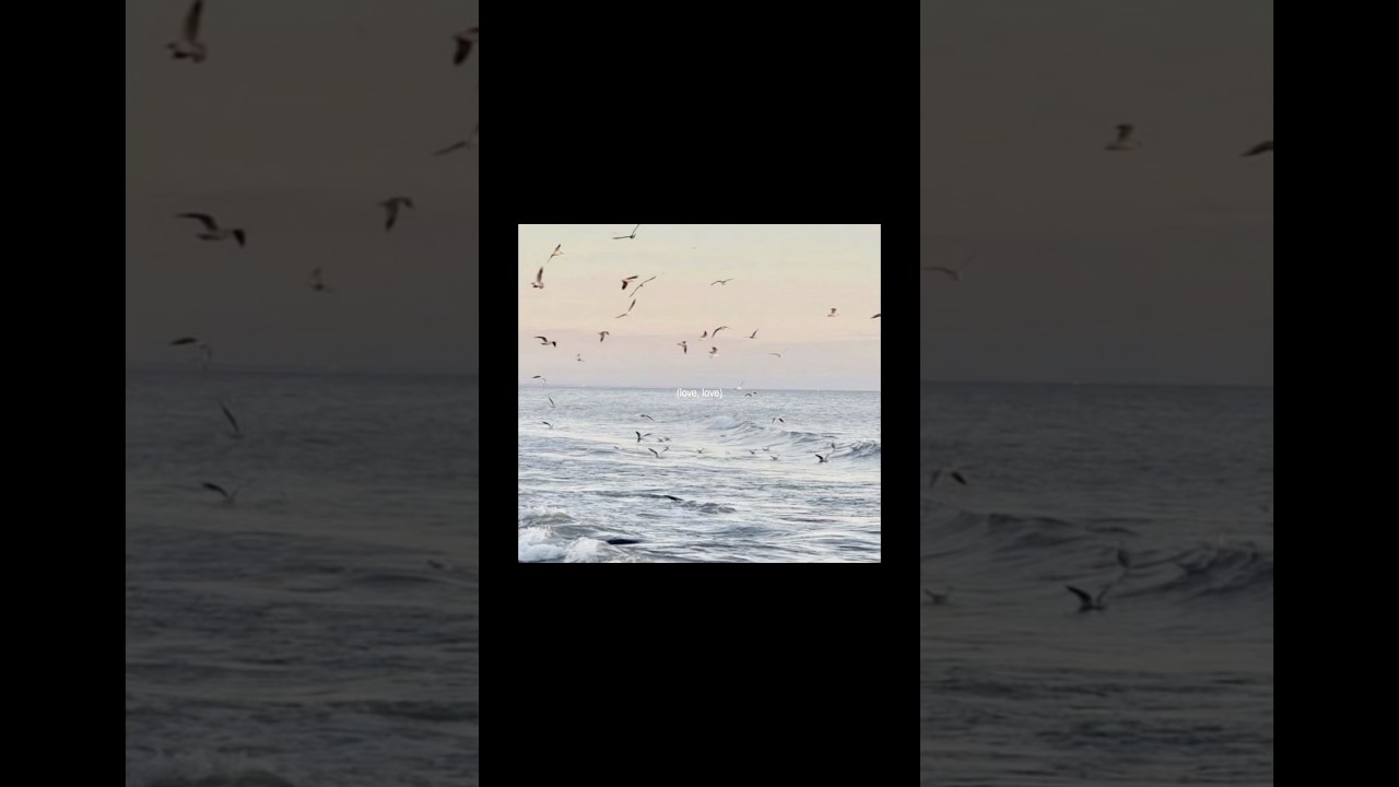 This love🩵🌊