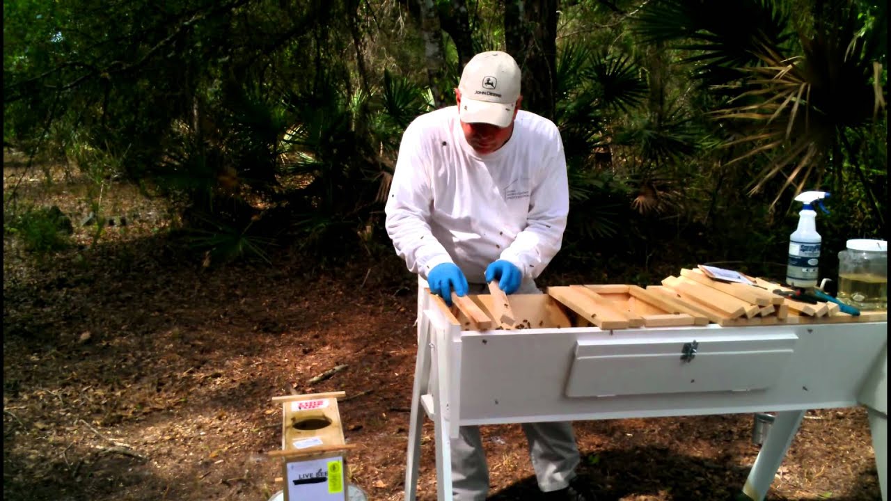Top Bar Bee Installation