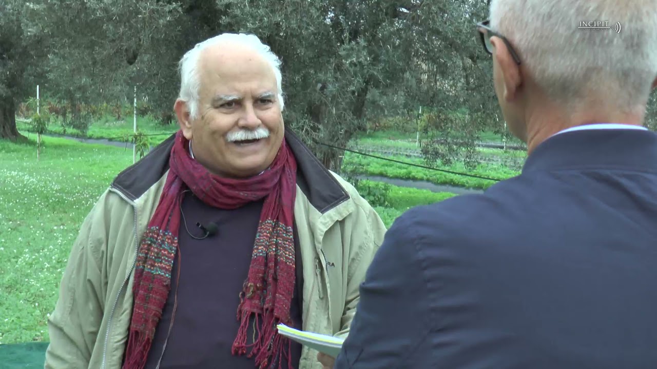 INCONTRI CON.....L' ORO VERDE DELLA CALABRIA