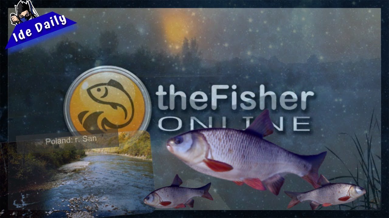 Fisher Online Poland Daily Ide