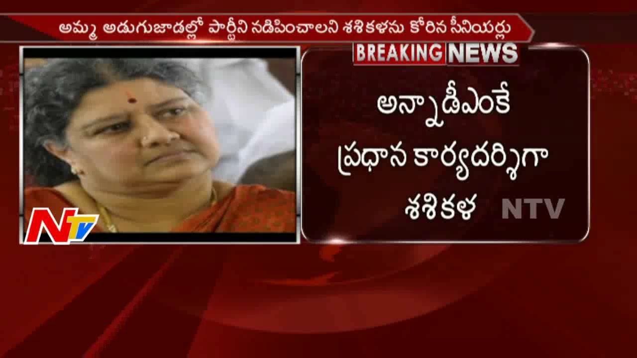 AIADMK Decided : Sasikala As Party General Secretary || Chennai || NTV