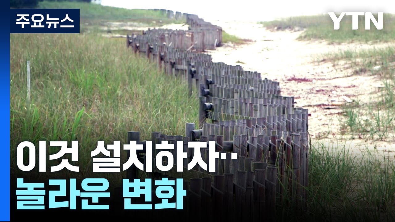 해양탄소저장소 '블루카본' 축구장 32배 넓이 복원 / YTN