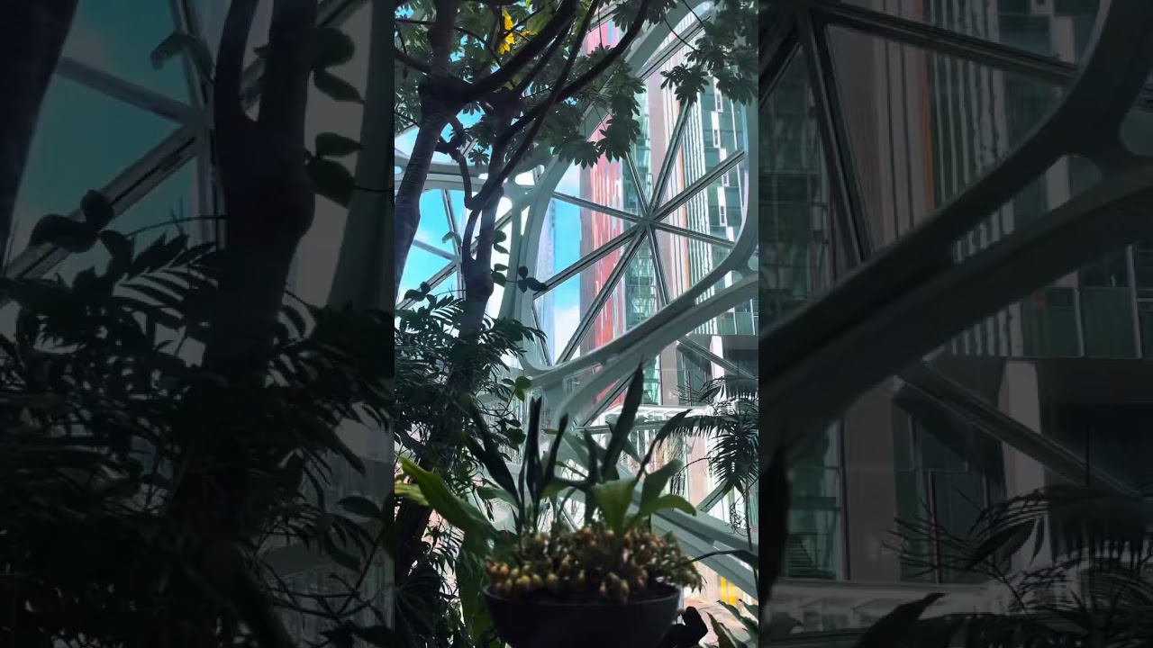 Inside the Amazon Spheres | A Mini Rainforest in Downtown Seattle 