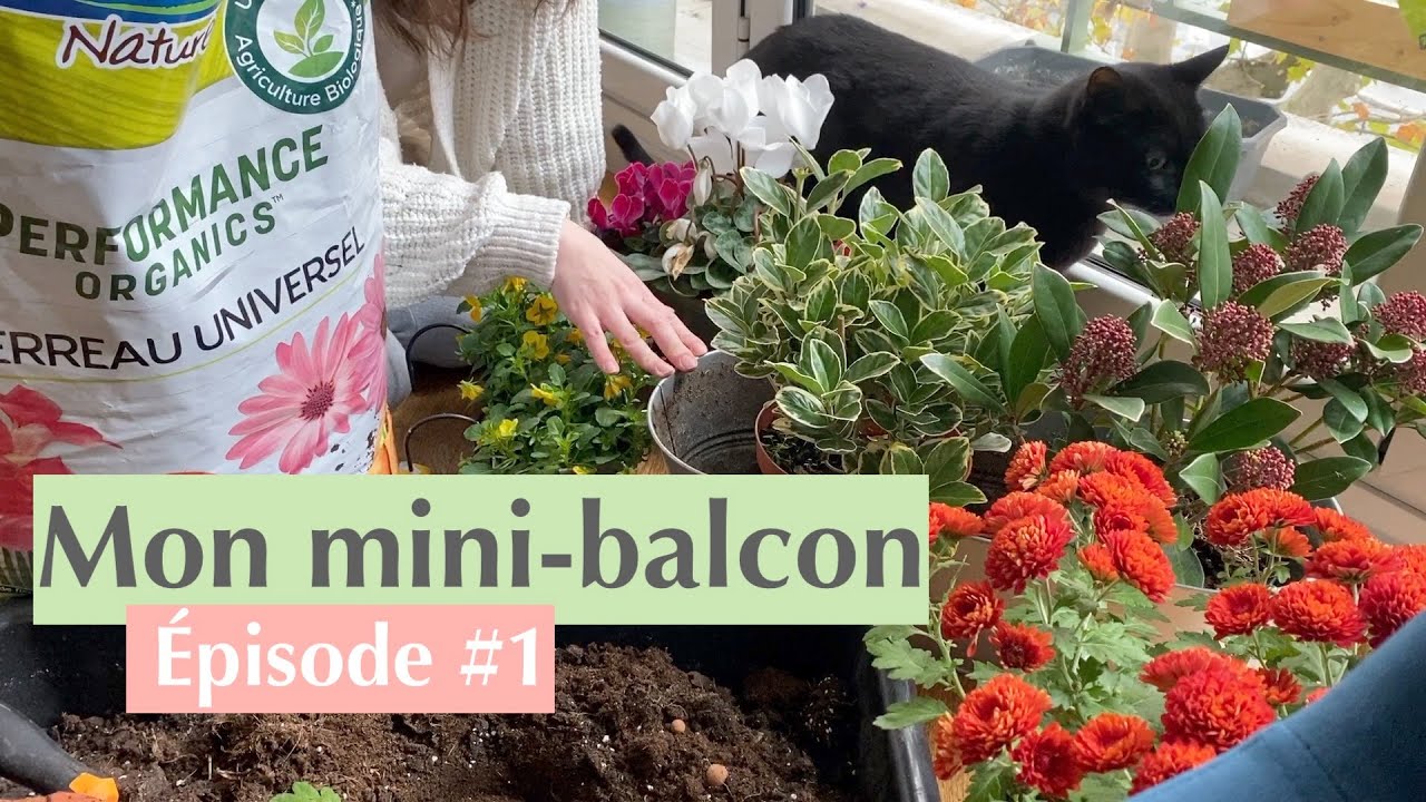 Mon mini balcon épisode #1 - Végétaliser un petit balcon, plantations verticales