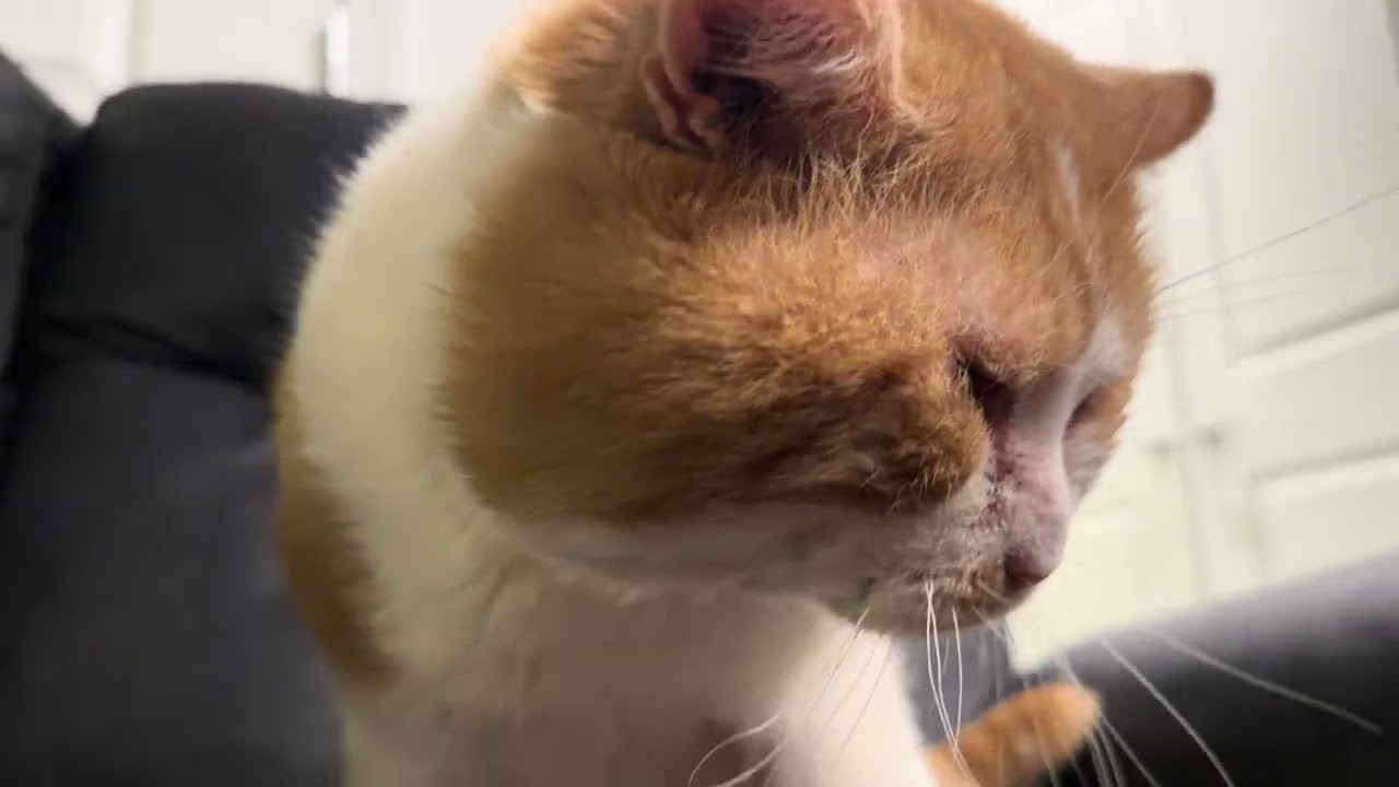 Glorious Slowmo