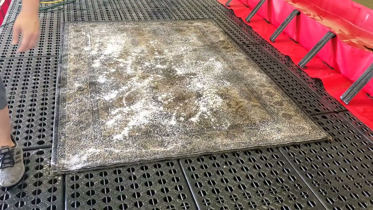 Urine and Dirt removal from this Area Rug cleaning