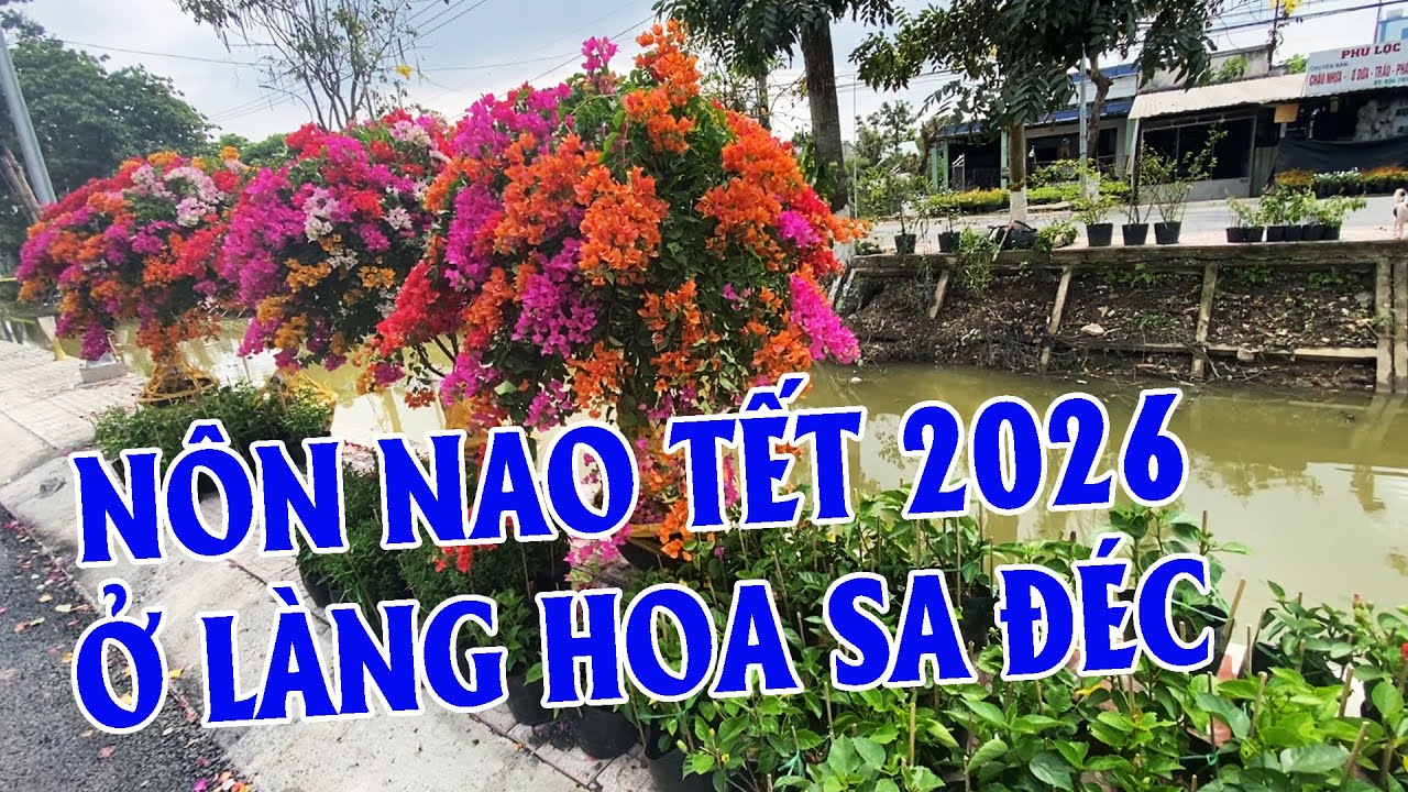 Nôn Nao Xuống Khám Phá Làng Hoa Sa Đéc Phục Vụ Tết 2026 | Góc Miền Tây #560