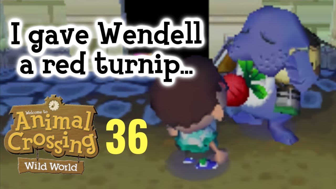 I Gave Wendell a Red Turnip / Animal Crossing: Wild World #36