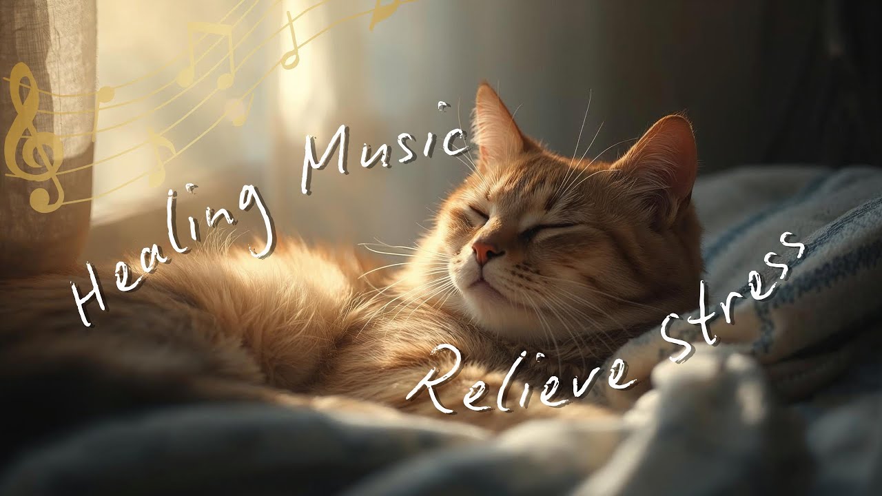 Healing Music To Relieve Stress | Comfortable, Gentle, Quiet, Healing Beautiful Harp