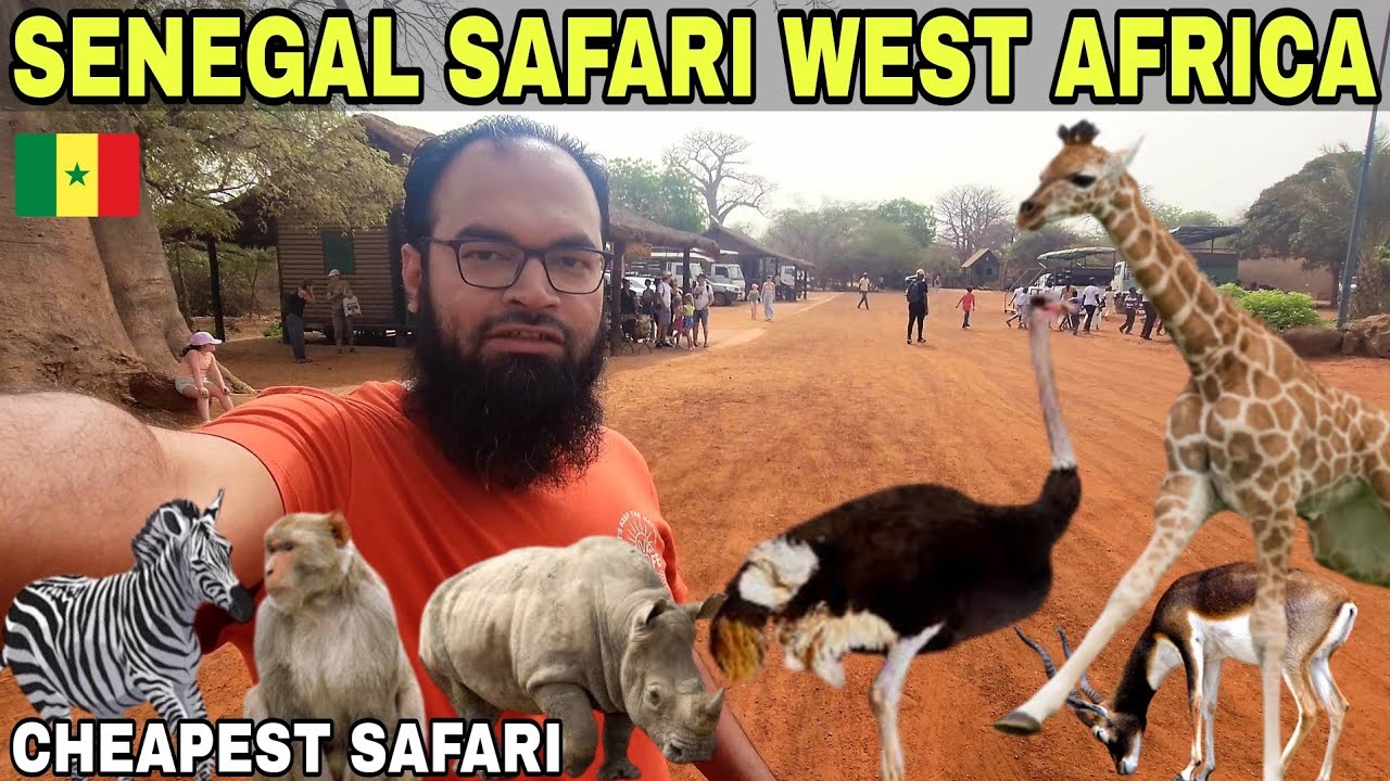 Exploring Bandia Reserve Safari Park: A Senegal Affordable Adventure | Dakar Senegal Safari Vlog