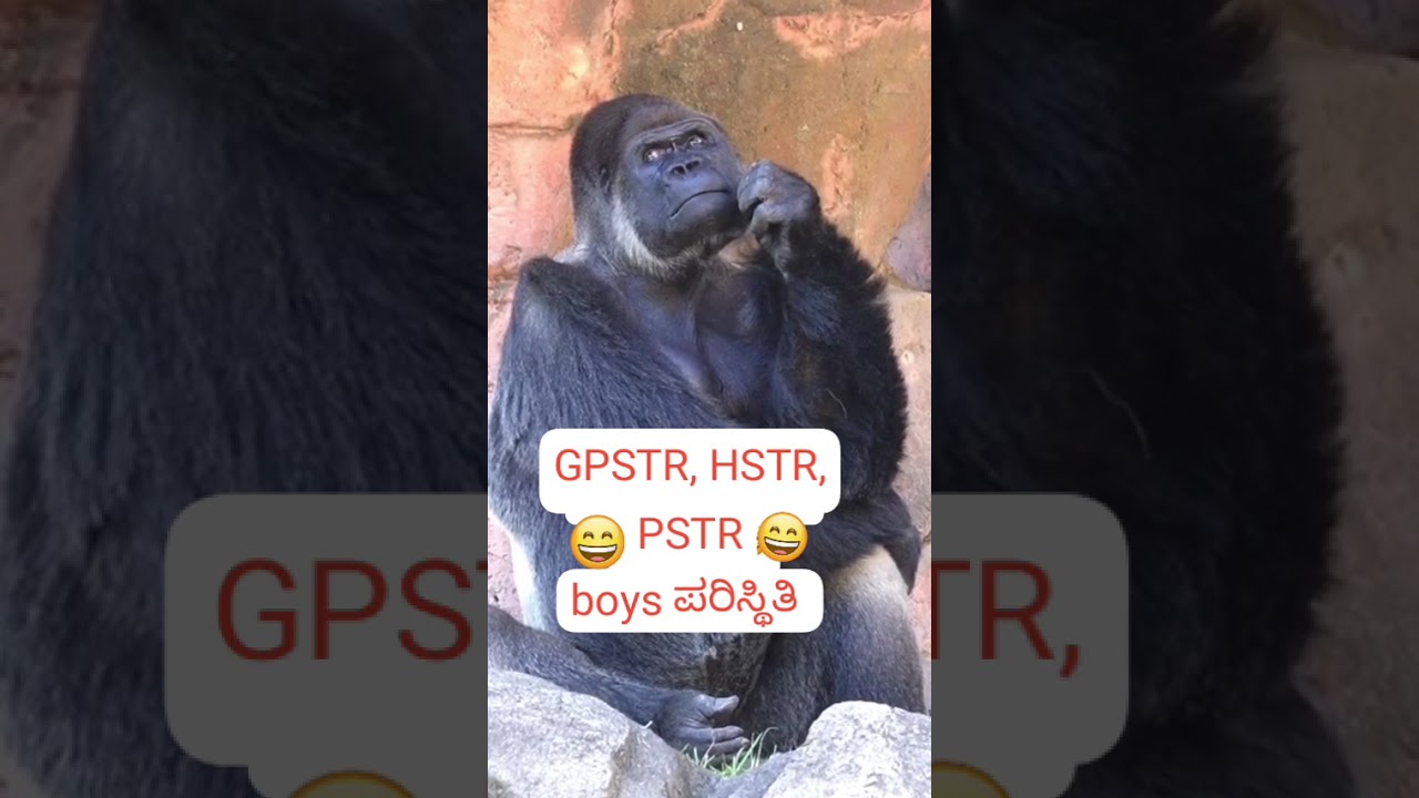 #gpstr