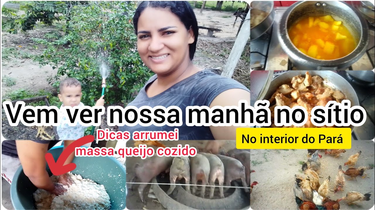 Nossa manhã no sitio  🌺🐓🐔🐤🐖💖/Como preparar massa de 🧀 queijo cozido?