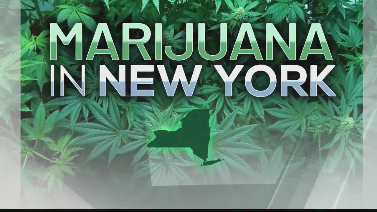 Office of Cannabis Management lays out 2024 plans