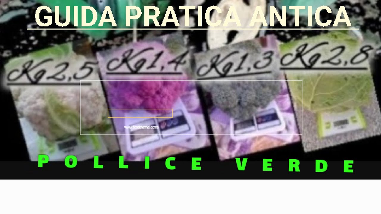#guide Pratiche Coltivazioni autunnali #polliceverde